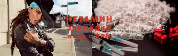 крисы Няндома