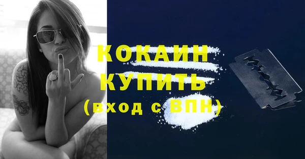 крисы Няндома