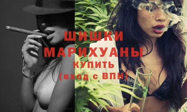 крисы Няндома