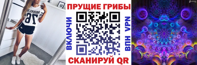 как найти закладки  Петровск  Псилоцибиновые грибы GOLDEN TEACHER 