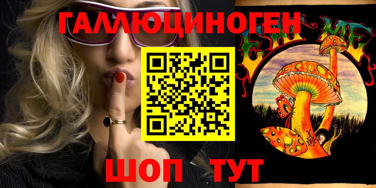 Галлюциногенные грибы Psilocybe Петровск