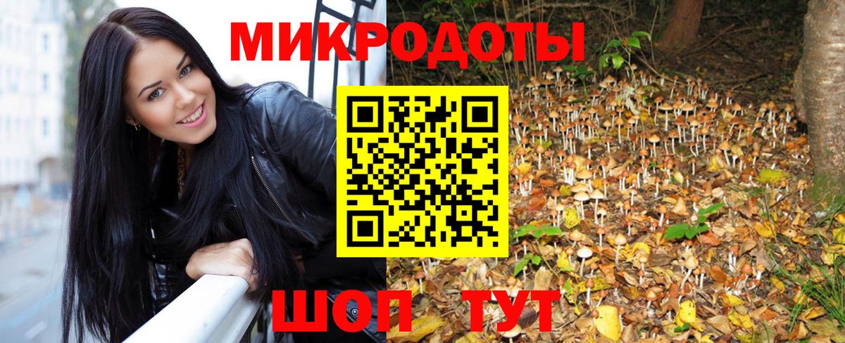 Галлюциногенные грибы Psilocybe  Галлюциногенные грибы Magic Shrooms  Петровск  Вход с VPN 